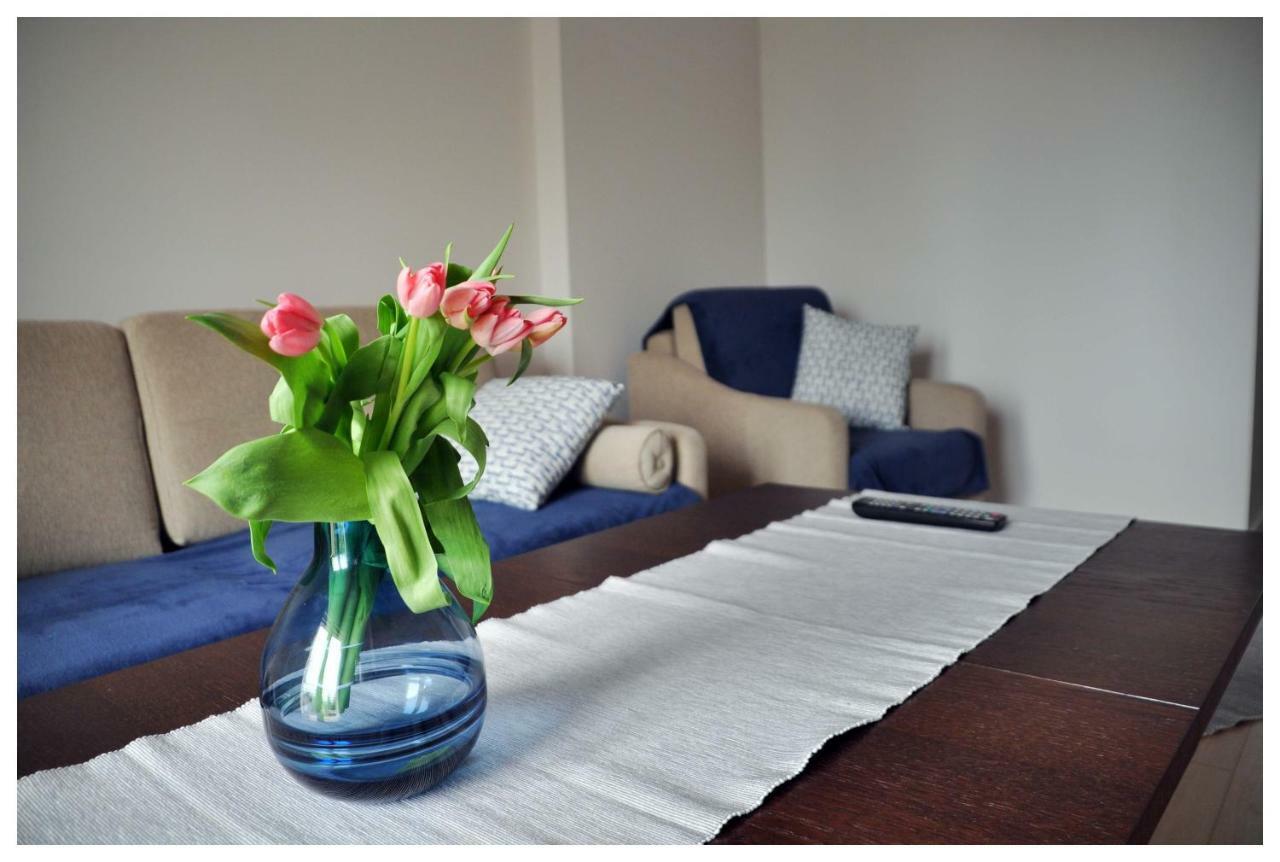 Color 24 Premium Apartment สตาโลวา โวลา ภายนอก รูปภาพ